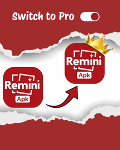 Remini Pro Apk